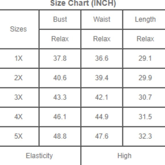 Red Chemise - Picture 4 of 4